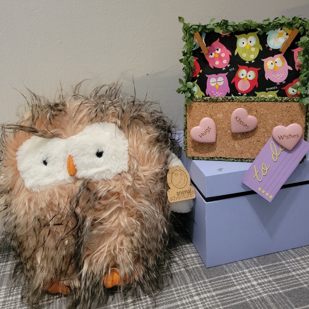 Animal adventure stuffed owl With an owl memory board.
